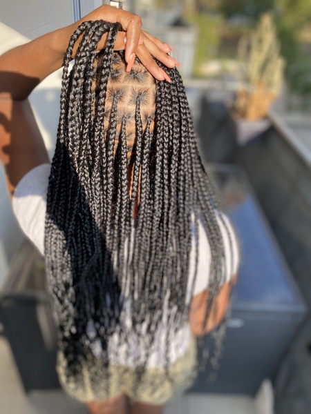 salon de coiffure afro tresse tresses box braids crochet braids vanilles tissages paris 75 77 78 91 92 93 94 95 AYDBKFSP