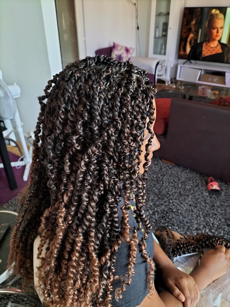 salon de coiffure afro tresse tresses box braids crochet braids vanilles tissages paris 75 77 78 91 92 93 94 95 UINDXPZX