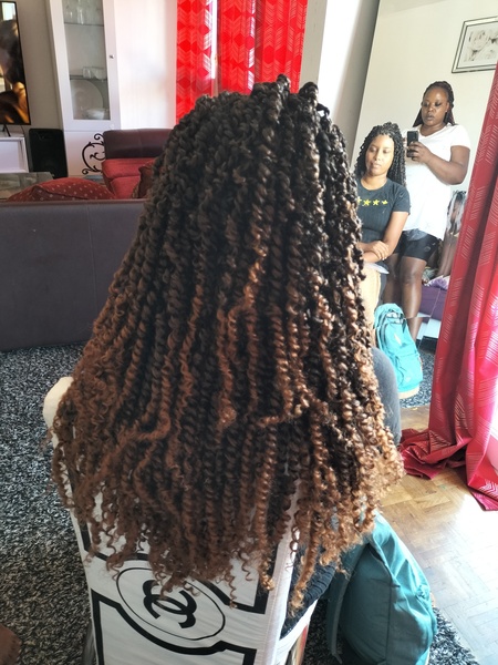 salon de coiffure afro tresse tresses box braids crochet braids vanilles tissages paris 75 77 78 91 92 93 94 95 ZBLKQAVG