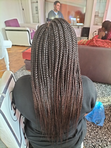 salon de coiffure afro tresse tresses box braids crochet braids vanilles tissages paris 75 77 78 91 92 93 94 95 LQCEUDPI