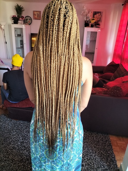 salon de coiffure afro tresse tresses box braids crochet braids vanilles tissages paris 75 77 78 91 92 93 94 95 MFQEMIOA