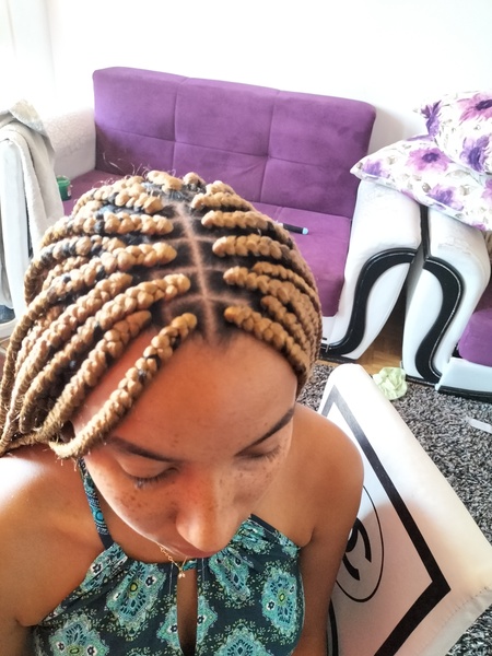salon de coiffure afro tresse tresses box braids crochet braids vanilles tissages paris 75 77 78 91 92 93 94 95 MFPETDUR