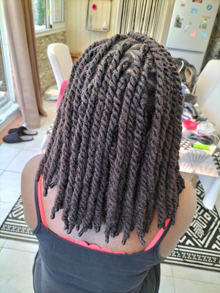 salon de coiffure afro tresse tresses box braids crochet braids vanilles tissages paris 75 77 78 91 92 93 94 95 EXVKISCG