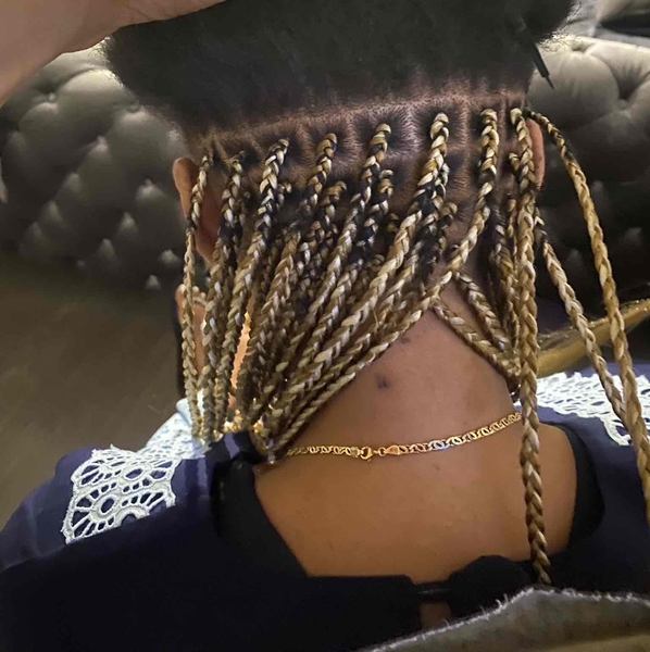 salon de coiffure afro tresse tresses box braids crochet braids vanilles tissages paris 75 77 78 91 92 93 94 95 CJGWOVLW