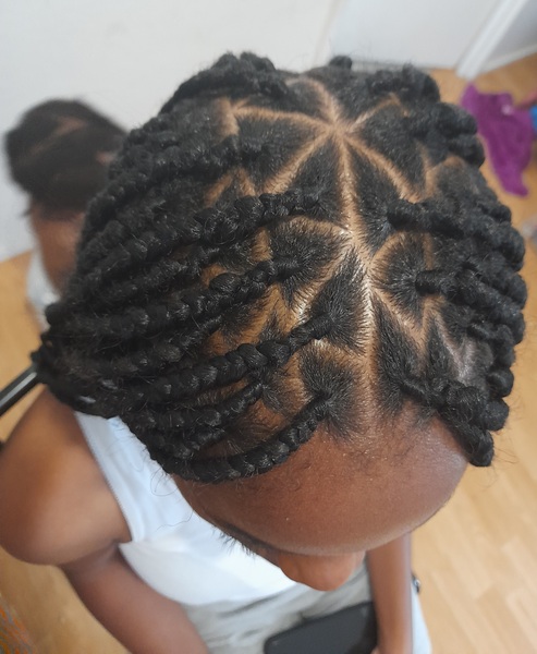 salon de coiffure afro tresse tresses box braids crochet braids vanilles tissages paris 75 77 78 91 92 93 94 95 ENJMUXWP