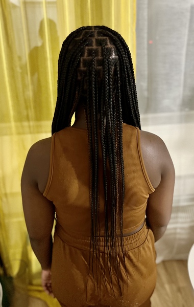 salon de coiffure afro tresse tresses box braids crochet braids vanilles tissages paris 75 77 78 91 92 93 94 95 DWOBBDRI