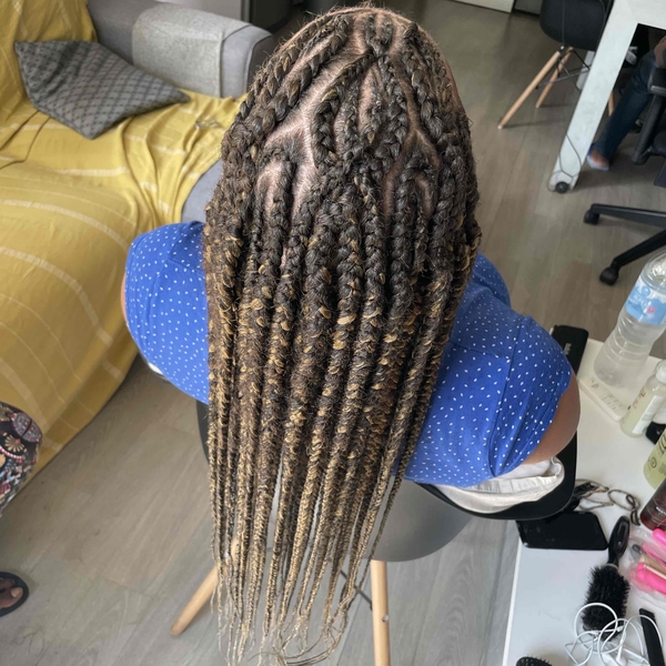 salon de coiffure afro tresse tresses box braids crochet braids vanilles tissages paris 75 77 78 91 92 93 94 95 RASHGNAB