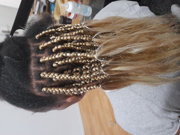 salon de coiffure afro tresse tresses box braids crochet braids vanilles tissages paris 75 77 78 91 92 93 94 95 CJCTSXJX