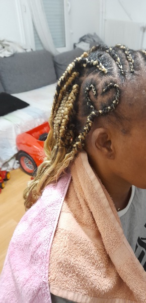 salon de coiffure afro tresse tresses box braids crochet braids vanilles tissages paris 75 77 78 91 92 93 94 95 WENHYXKK