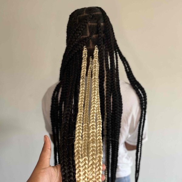 salon de coiffure afro tresse tresses box braids crochet braids vanilles tissages paris 75 77 78 91 92 93 94 95 MWMEGLTE
