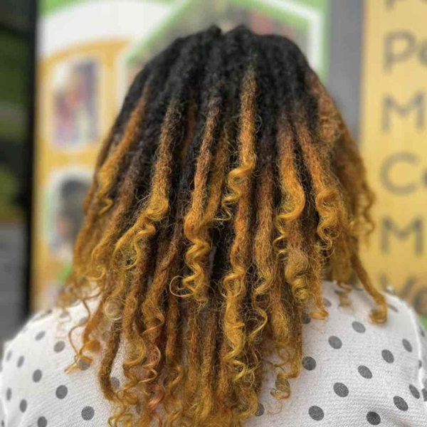salon de coiffure afro tresse tresses box braids crochet braids vanilles tissages paris 75 77 78 91 92 93 94 95 ETWTQTWJ