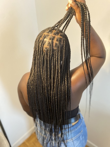 salon de coiffure afro tresse tresses box braids crochet braids vanilles tissages paris 75 77 78 91 92 93 94 95 UXLAPZHN