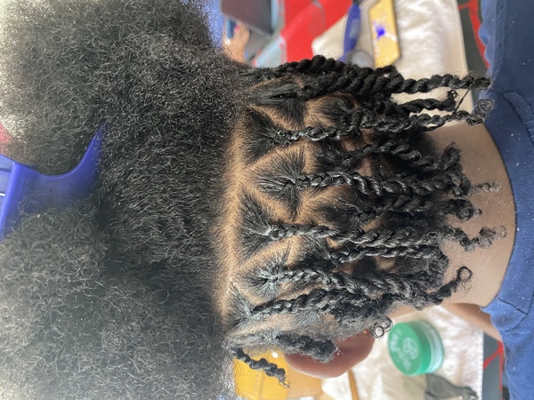 salon de coiffure afro tresse tresses box braids crochet braids vanilles tissages paris 75 77 78 91 92 93 94 95 KFPIWLTS