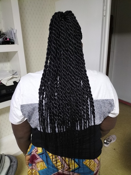 salon de coiffure afro tresse tresses box braids crochet braids vanilles tissages paris 75 77 78 91 92 93 94 95 ROJSCPNJ