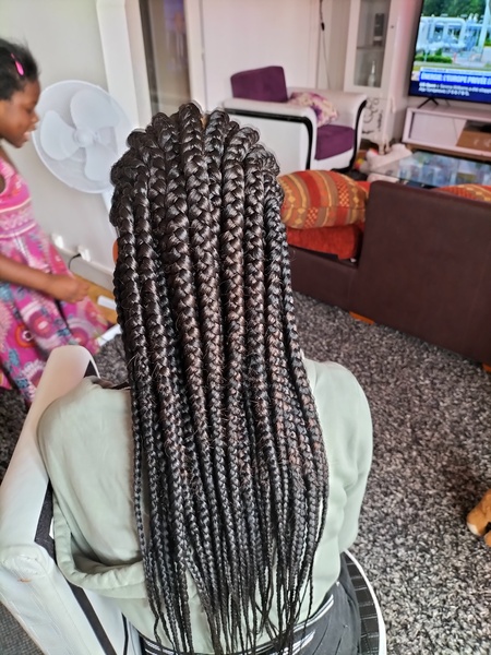 salon de coiffure afro tresse tresses box braids crochet braids vanilles tissages paris 75 77 78 91 92 93 94 95 MEWAMTKN