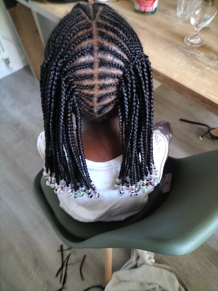 salon de coiffure afro tresse tresses box braids crochet braids vanilles tissages paris 75 77 78 91 92 93 94 95 AEQVVBLX
