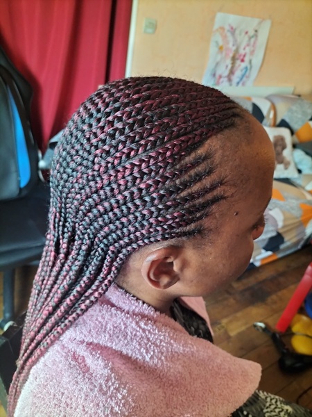 salon de coiffure afro tresse tresses box braids crochet braids vanilles tissages paris 75 77 78 91 92 93 94 95 PDAADXKQ