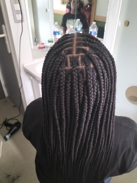 salon de coiffure afro tresse tresses box braids crochet braids vanilles tissages paris 75 77 78 91 92 93 94 95 HITGCNNU