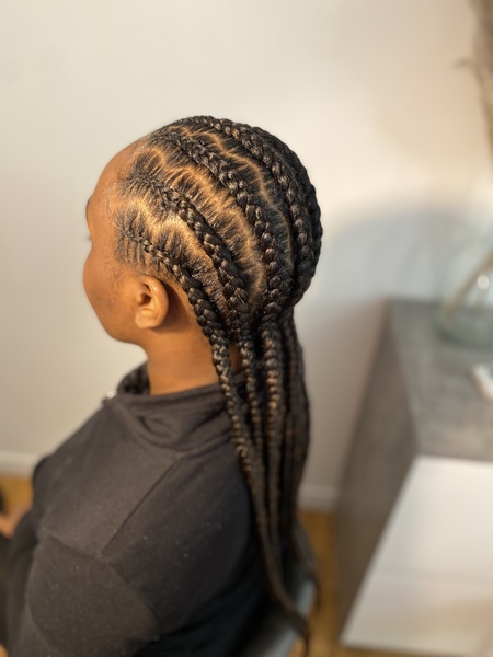 salon de coiffure afro tresse tresses box braids crochet braids vanilles tissages paris 75 77 78 91 92 93 94 95 SLKJDAFS