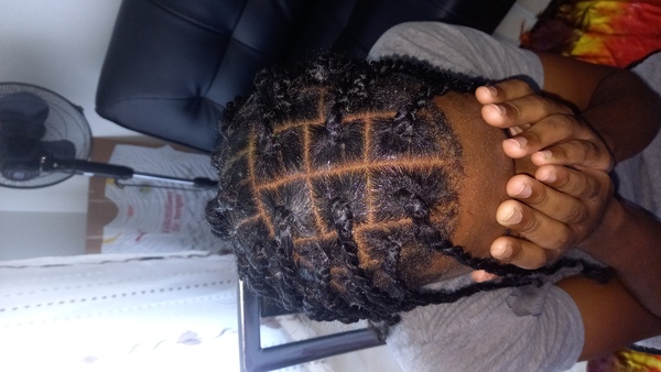 salon de coiffure afro tresse tresses box braids crochet braids vanilles tissages paris 75 77 78 91 92 93 94 95 FDWOHWGP