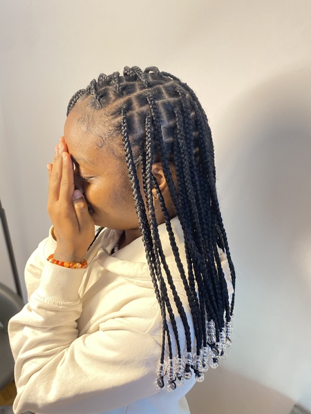salon de coiffure afro tresse tresses box braids crochet braids vanilles tissages paris 75 77 78 91 92 93 94 95 PKPCMXRN