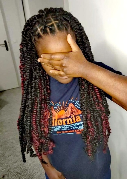 salon de coiffure afro tresse tresses box braids crochet braids vanilles tissages paris 75 77 78 91 92 93 94 95 WTBHXEFO