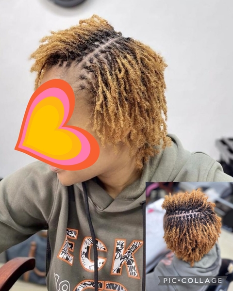 salon de coiffure afro tresse tresses box braids crochet braids vanilles tissages paris 75 77 78 91 92 93 94 95 TGUDMRMU