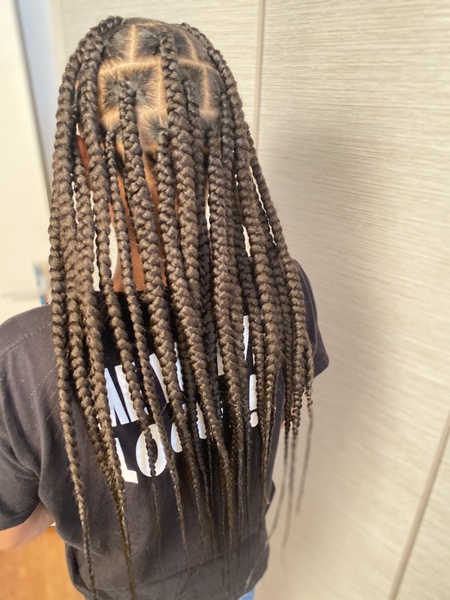 salon de coiffure afro tresse tresses box braids crochet braids vanilles tissages paris 75 77 78 91 92 93 94 95 UNKXDRAT