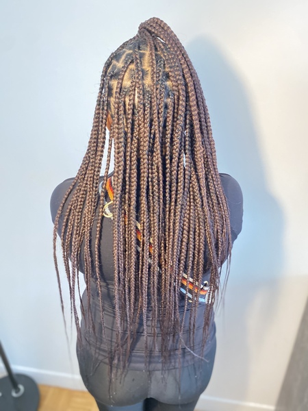 salon de coiffure afro tresse tresses box braids crochet braids vanilles tissages paris 75 77 78 91 92 93 94 95 NRGEHDJW