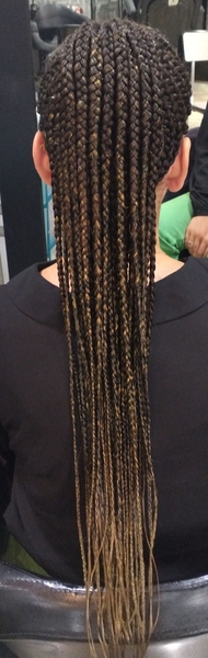 salon de coiffure afro tresse tresses box braids crochet braids vanilles tissages paris 75 77 78 91 92 93 94 95 IGBHXXDF