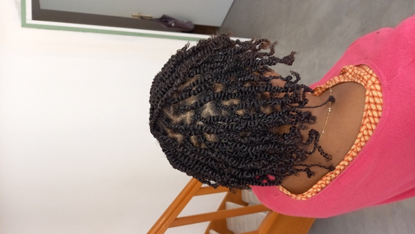 salon de coiffure afro tresse tresses box braids crochet braids vanilles tissages paris 75 77 78 91 92 93 94 95 FGWUVWST