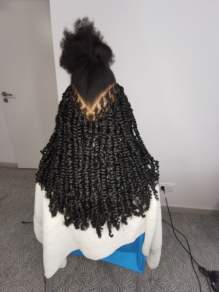 salon de coiffure afro tresse tresses box braids crochet braids vanilles tissages paris 75 77 78 91 92 93 94 95 TESQFSXF