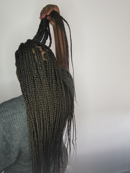 salon de coiffure afro tresse tresses box braids crochet braids vanilles tissages paris 75 77 78 91 92 93 94 95 POAYHERG