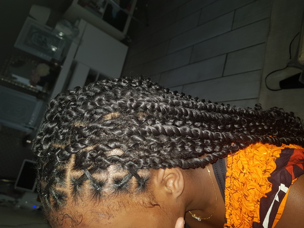 salon de coiffure afro tresse tresses box braids crochet braids vanilles tissages paris 75 77 78 91 92 93 94 95 GQIZDERL