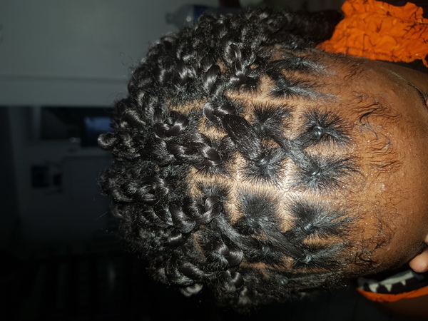 salon de coiffure afro tresse tresses box braids crochet braids vanilles tissages paris 75 77 78 91 92 93 94 95 RTYVHPSM