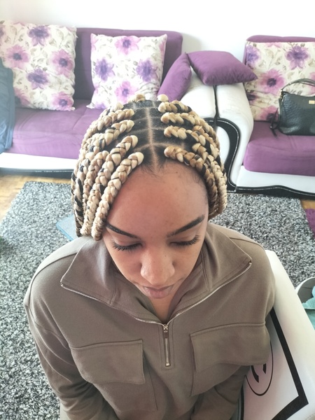 salon de coiffure afro tresse tresses box braids crochet braids vanilles tissages paris 75 77 78 91 92 93 94 95 KRBIAPEH