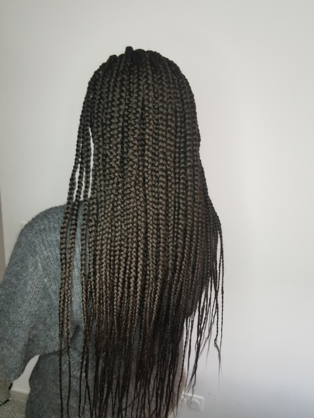 salon de coiffure afro tresse tresses box braids crochet braids vanilles tissages paris 75 77 78 91 92 93 94 95 EWREIIQE