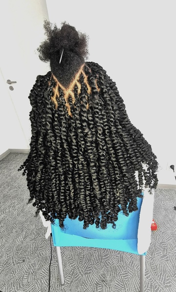 salon de coiffure afro tresse tresses box braids crochet braids vanilles tissages paris 75 77 78 91 92 93 94 95 MKERNHYK