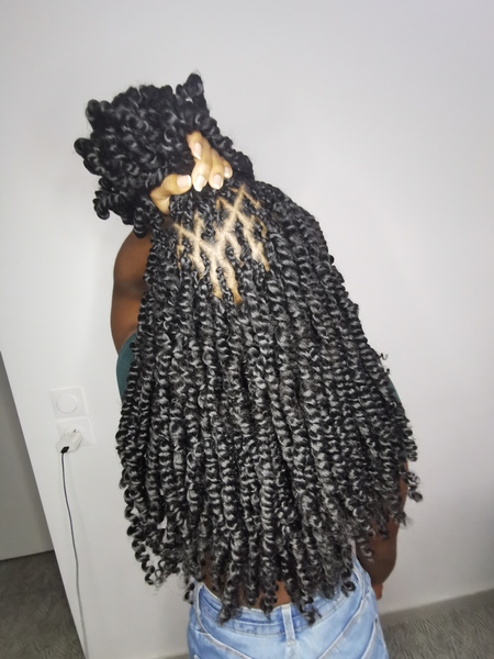 salon de coiffure afro tresse tresses box braids crochet braids vanilles tissages paris 75 77 78 91 92 93 94 95 FQTSXPAQ