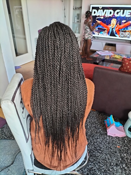 salon de coiffure afro tresse tresses box braids crochet braids vanilles tissages paris 75 77 78 91 92 93 94 95 BQFFFPSV