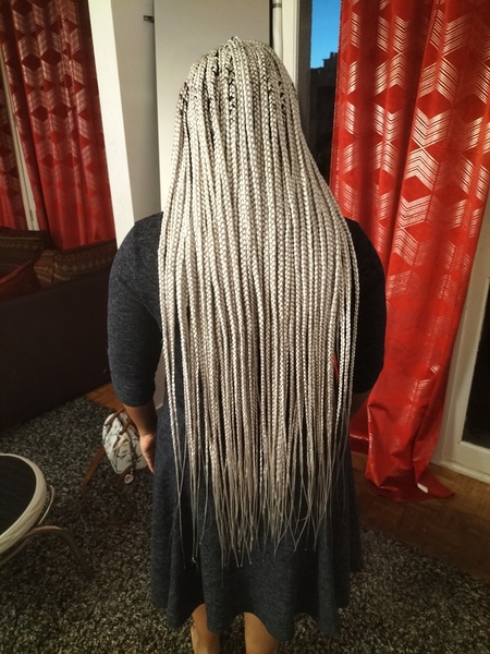 salon de coiffure afro tresse tresses box braids crochet braids vanilles tissages paris 75 77 78 91 92 93 94 95 WRFPYZMT