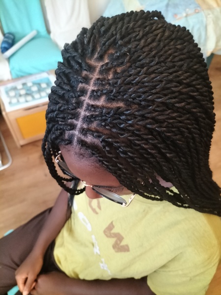 salon de coiffure afro tresse tresses box braids crochet braids vanilles tissages paris 75 77 78 91 92 93 94 95 SECDXISC