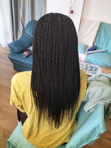 salon de coiffure afro tresse tresses box braids crochet braids vanilles tissages paris 75 77 78 91 92 93 94 95 NDLIEFNB