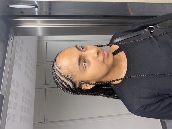 salon de coiffure afro tresse tresses box braids crochet braids vanilles tissages paris 75 77 78 91 92 93 94 95 RJFEIAEM