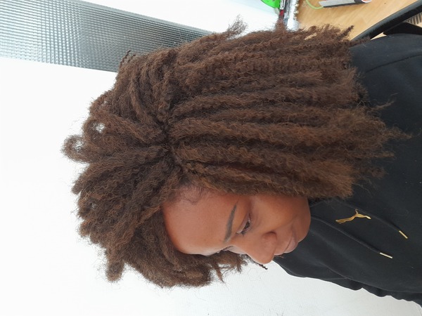 salon de coiffure afro tresse tresses box braids crochet braids vanilles tissages paris 75 77 78 91 92 93 94 95 BGRFEZGA