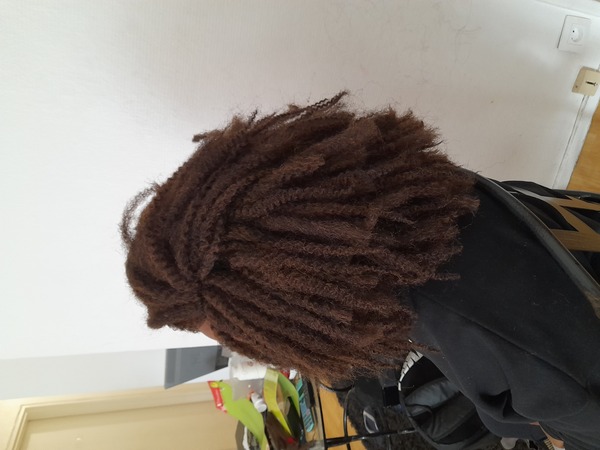salon de coiffure afro tresse tresses box braids crochet braids vanilles tissages paris 75 77 78 91 92 93 94 95 MSYAQNPG