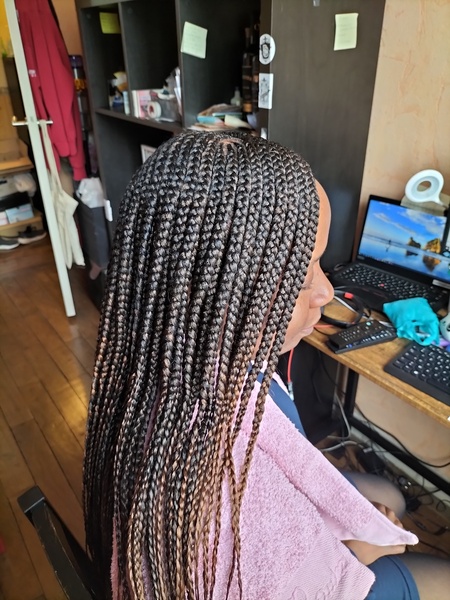 salon de coiffure afro tresse tresses box braids crochet braids vanilles tissages paris 75 77 78 91 92 93 94 95 DDHHCISF