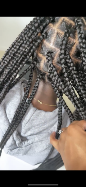 salon de coiffure afro tresse tresses box braids crochet braids vanilles tissages paris 75 77 78 91 92 93 94 95 HTHWZPFB
