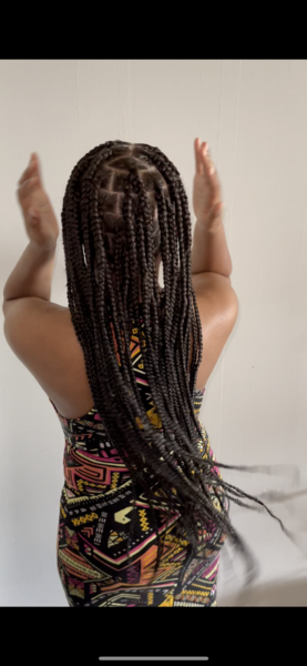 salon de coiffure afro tresse tresses box braids crochet braids vanilles tissages paris 75 77 78 91 92 93 94 95 DXZNZXFQ
