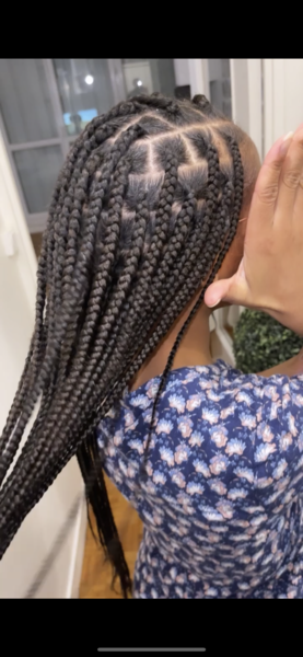 salon de coiffure afro tresse tresses box braids crochet braids vanilles tissages paris 75 77 78 91 92 93 94 95 EGZYZYGA